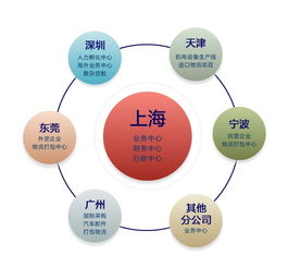 玻璃深加工設(shè)備進口報關(guān)代理與互聯(lián)網(wǎng)信息服務(wù)的融合發(fā)展